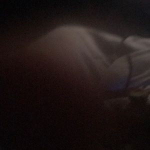 Meet your Posher, Darius